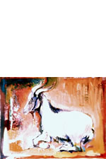 Goat, County Fair Suite